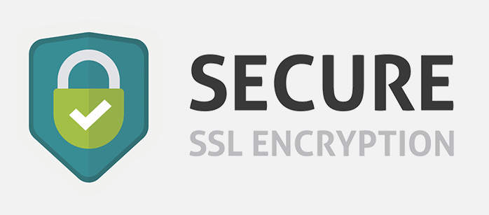 security logo 2